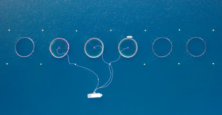 The Future of Ocean Cleanup: Opportunities with Clean Oil