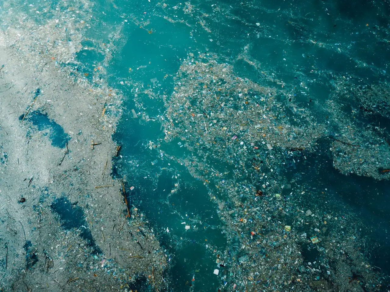 Tackling Marine Pollution: A Comprehensive Approach